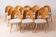 Set of 12 Mid Century Dining Chairs by A.Šuman, 1960s, Reupholstery Options