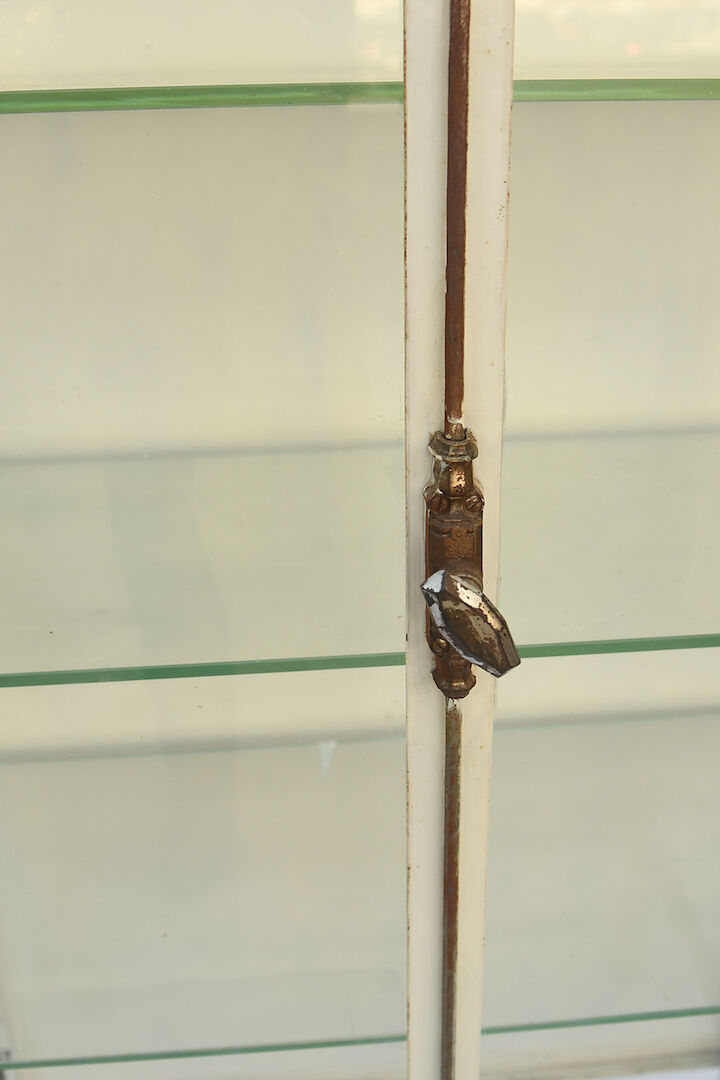 Former dentist showcase