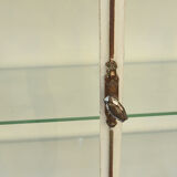 Former dentist showcase