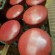 6 bar stools 1950