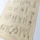 Antique print • Tree grafting • Original poster from 1922