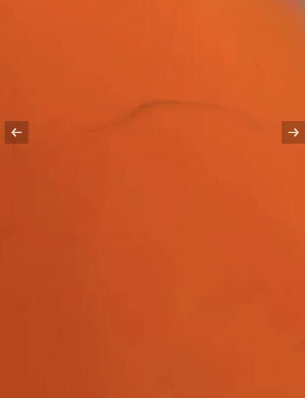 Grande Lampe Champignon Nesso Artemide 3 Eme Édition De Giancarlo Mattioli  1967