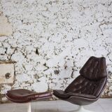 Armchair F588 and ottoman by Geoffrey Harcourt for Artifort, 1960