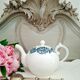 Antique teapot in ironstone pottery