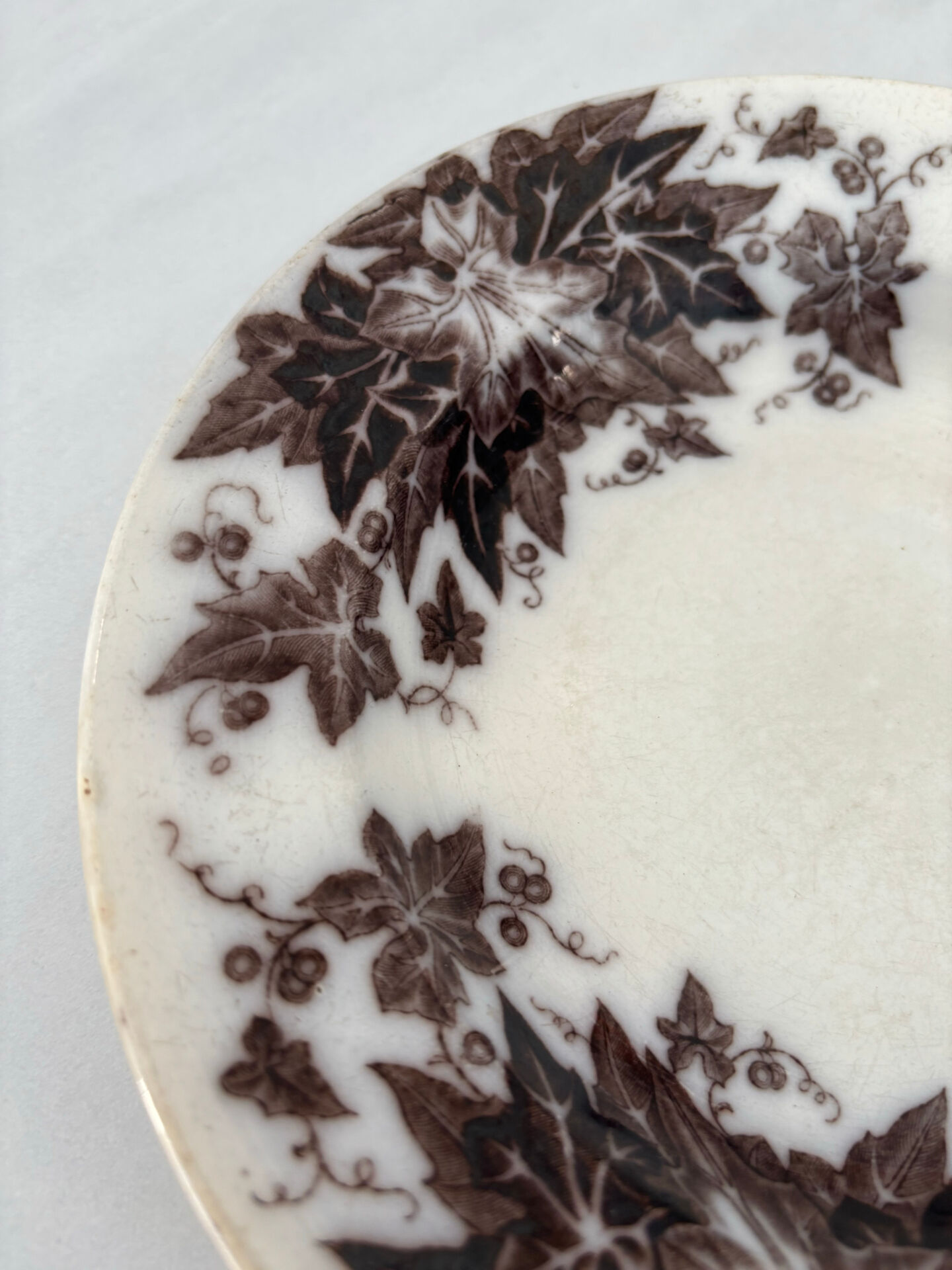 Iron earth plate sepia Sarreguemines model Bryonia - 19th-century earthenware