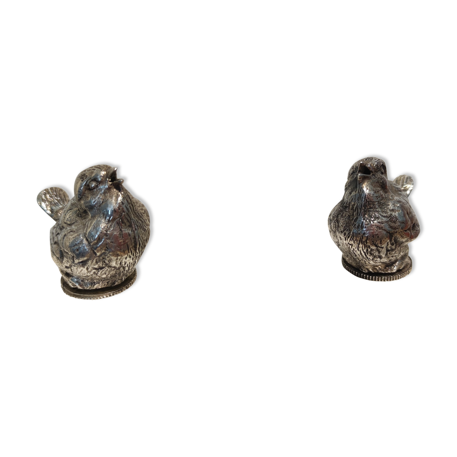Salt and pepper silver birds