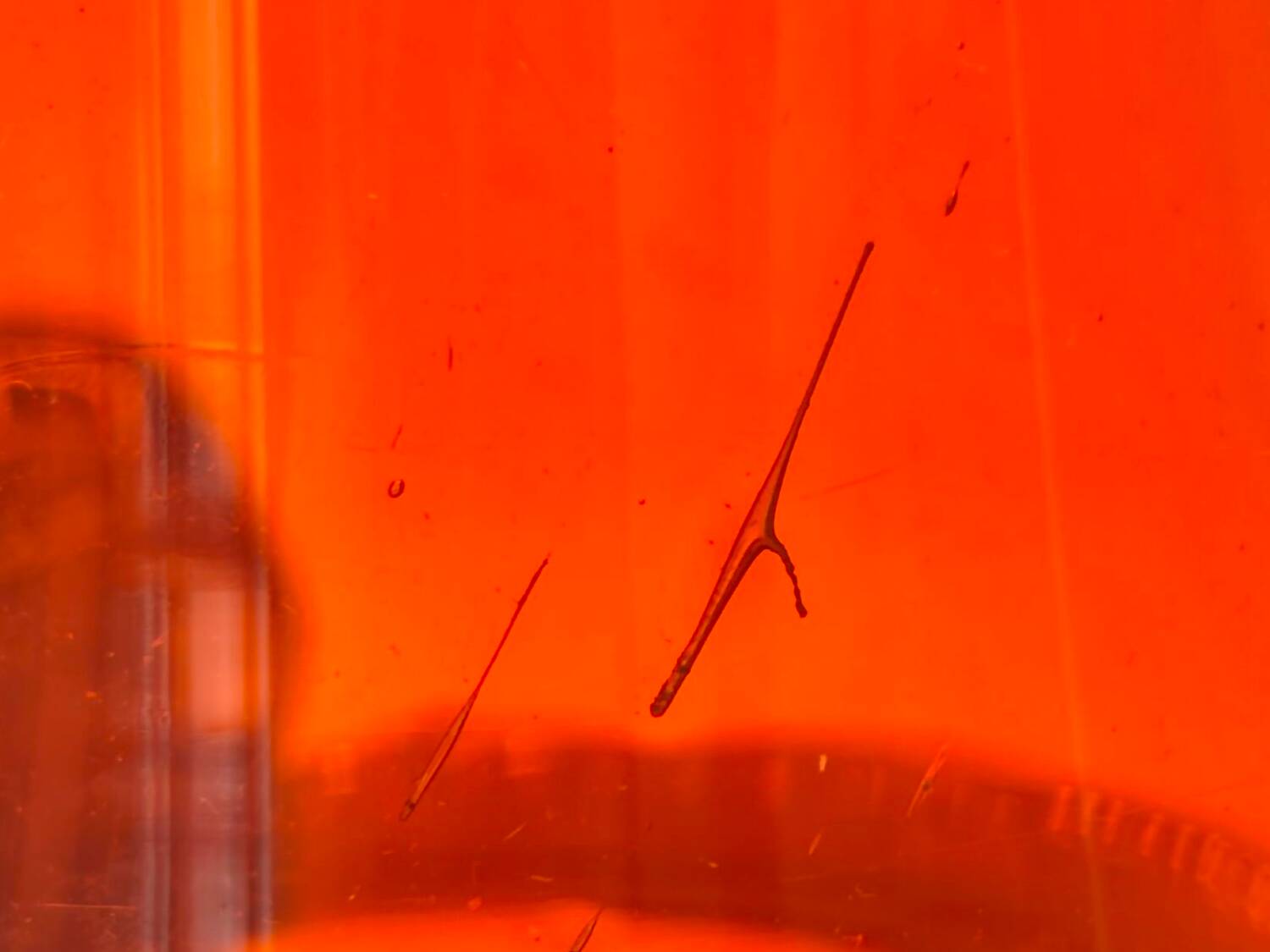 Vintage Murano Hand-Blown Glass Vase – Red with Blue Handles