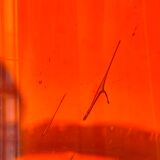 Vintage Murano Hand-Blown Glass Vase – Red with Blue Handles