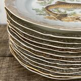 11 vintage Limoges porcelain fish plates
