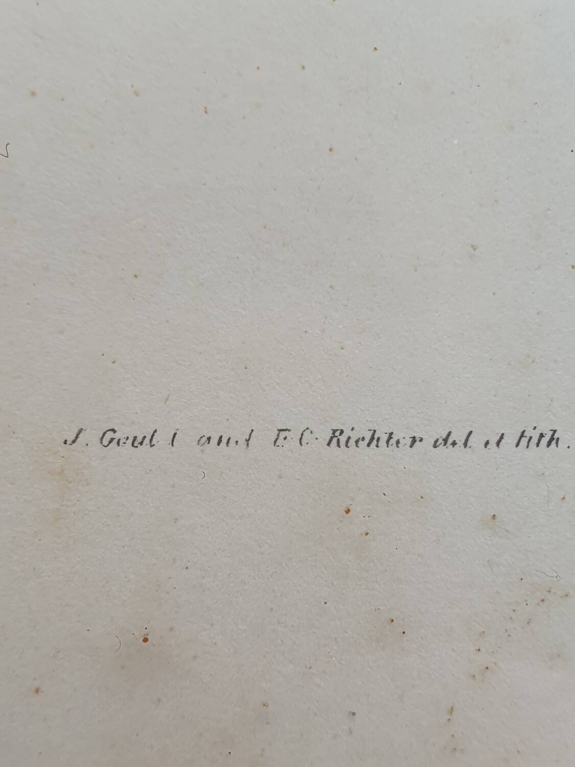 Hummingbirds Lithograph Duo