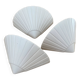 Lot de 3 appliques coquillages