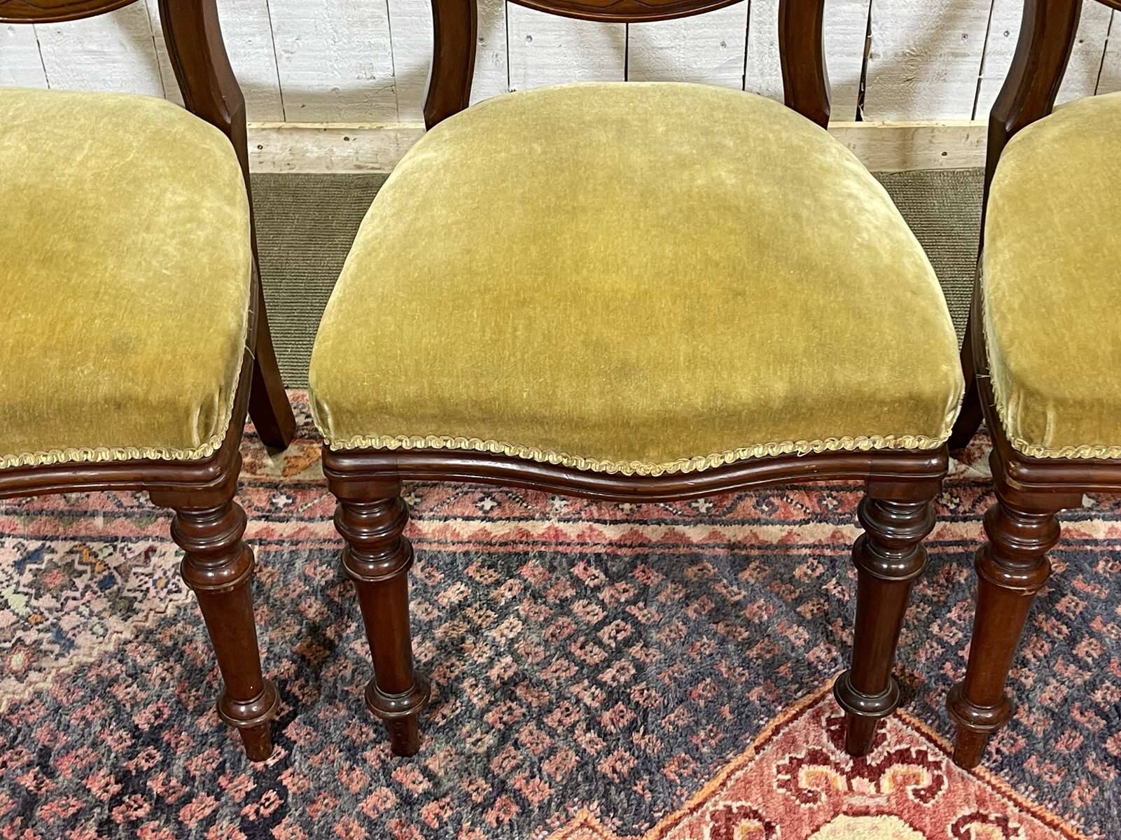 Set of 4 Victorian English chairs, 19th century, in mahogany