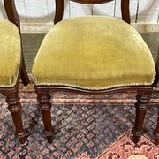 Suite de 4 chaises anglaises Victoriennes 19ème en Acajou