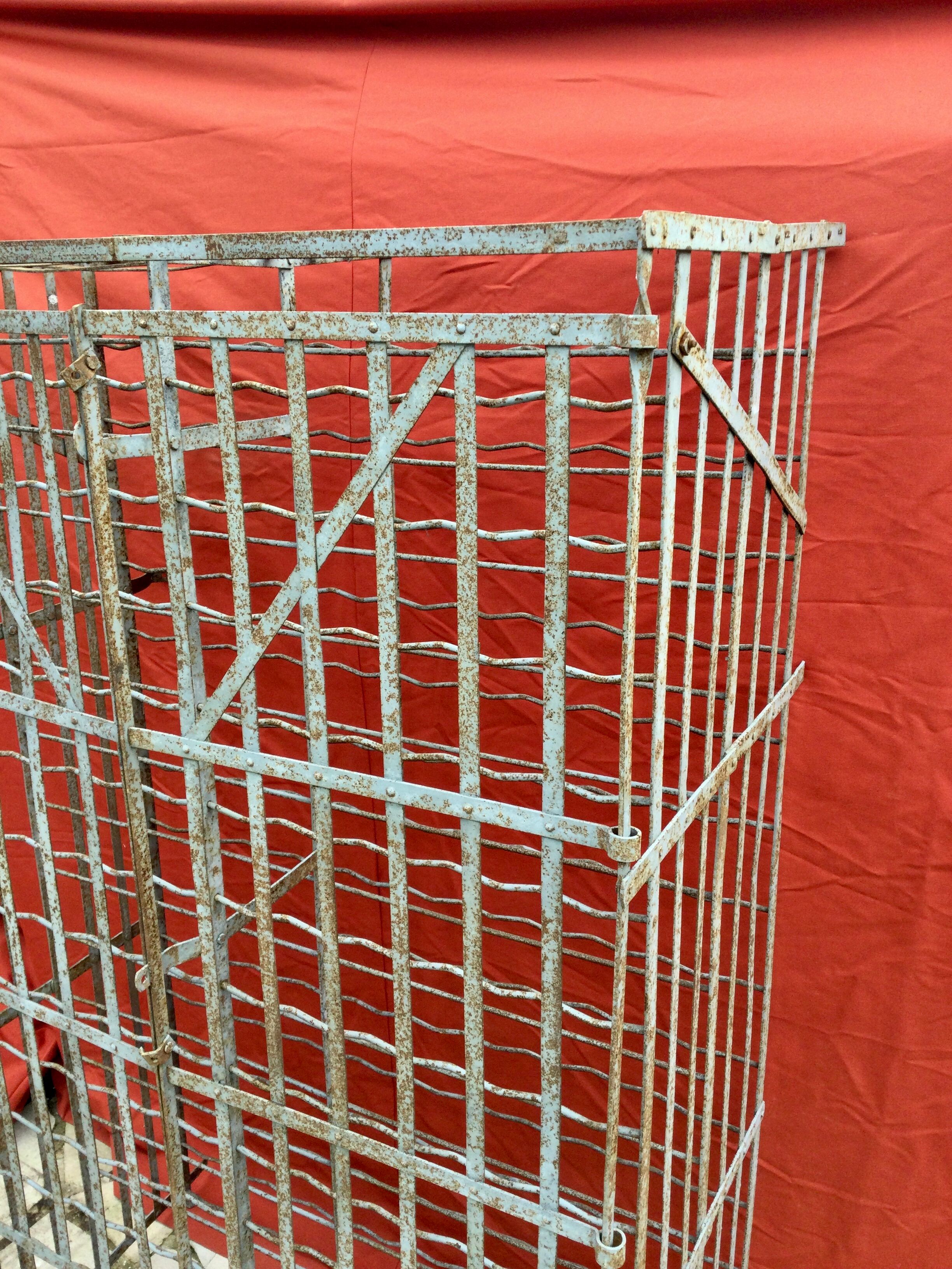 Wine cellar 300 bottles