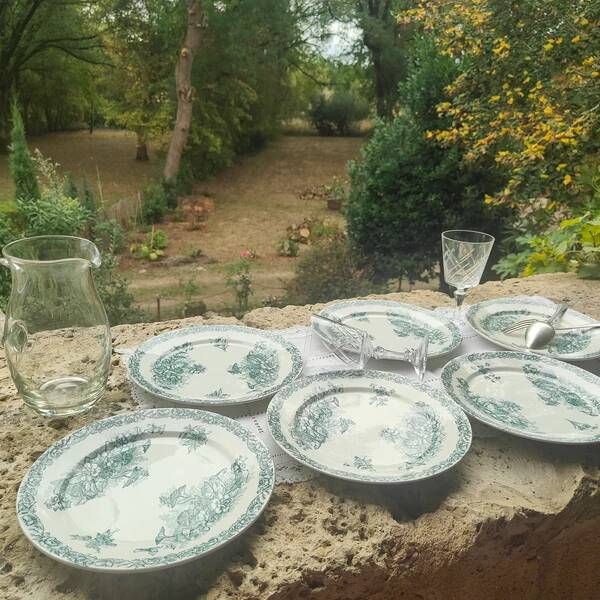 Pexonne flat plate
