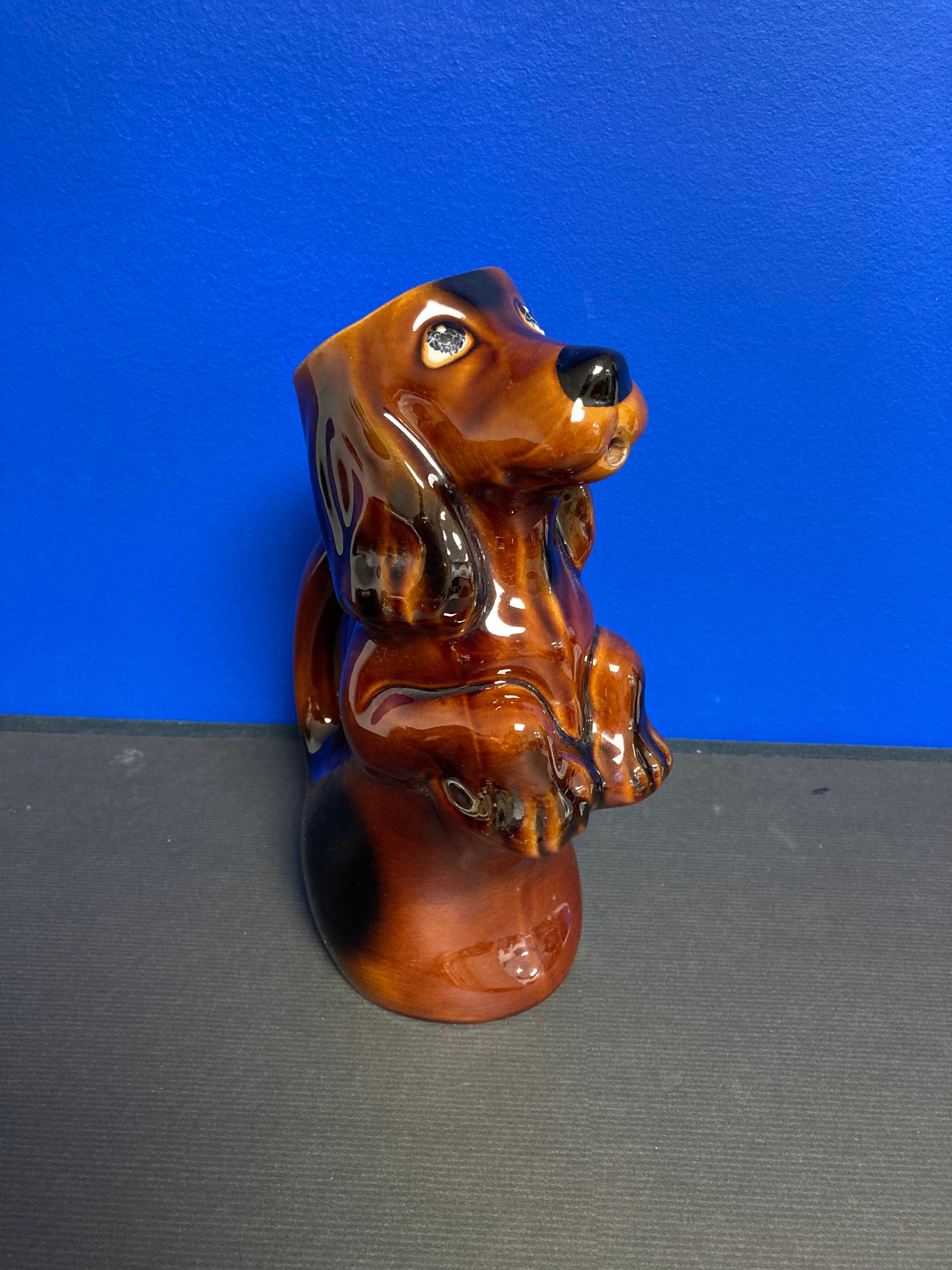 Pichet Dachshund Saint-Clément