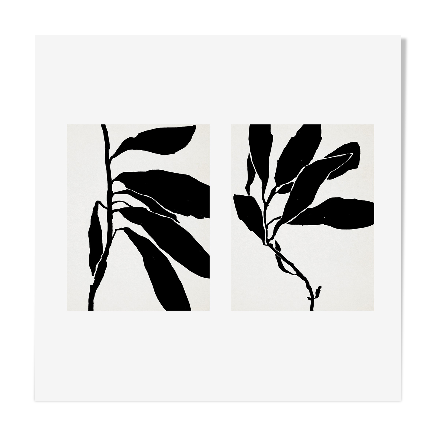 Pair of giclee prints. Botanical wall art set of two, 50x70