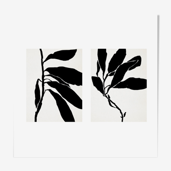 Pair of giclee prints. Botanical wall art set of two, 50x70