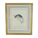 Lithographie Oiseau Rossignol du Japon cadre doré Déco loft