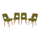 Shell Chairs from Bydgoszcz Furniture Factory, Poland, 1960s, Set of 4