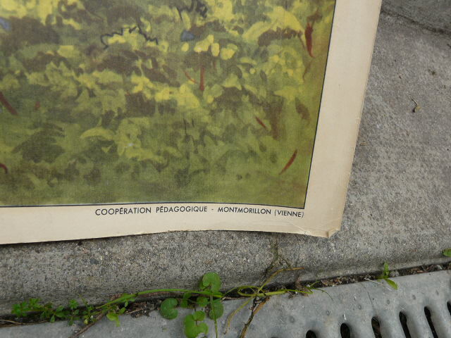 School poster editions nightingale N° 28 and 27 the valley and the torrent and the waterfall