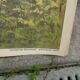 School poster editions nightingale N° 28 and 27 the valley and the torrent and the waterfall