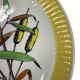 Dish in Gien