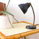 Black lamp