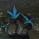 Table basse décor oiseaux bleus, années 60-70