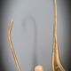 Duo brass swans