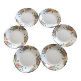 Set of 6 Luminarc Florine plates