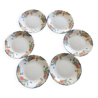 Set of 6 Luminarc Florine plates