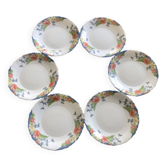 Lot de 6 assiettes Luminarc Florine