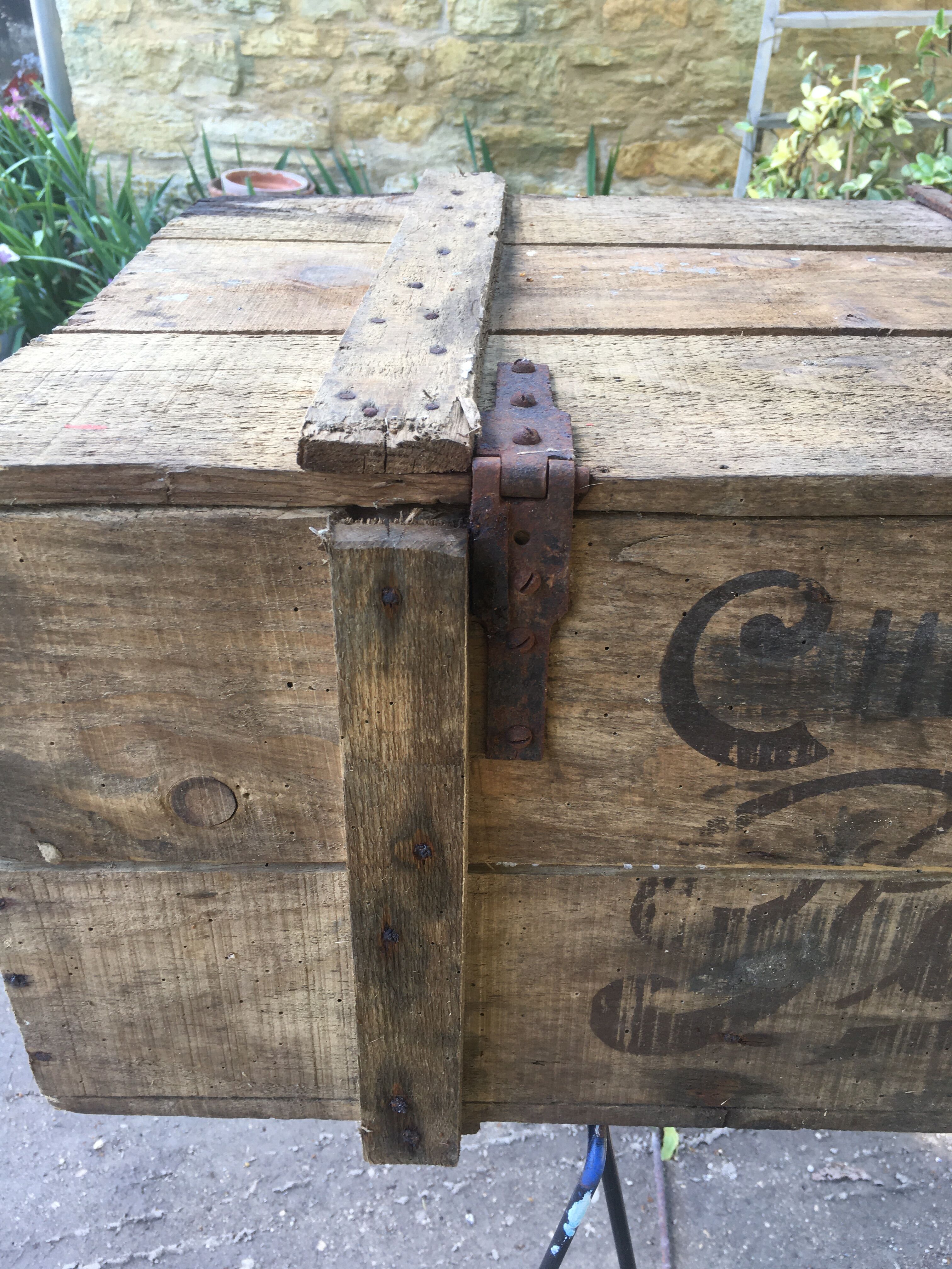 Wooden box Chocolate Foal