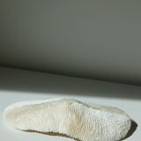 White Coral Fungia 24 cm