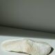Corail blanc Fungia 24 cm