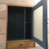 Wall-mounted toilet cabinet