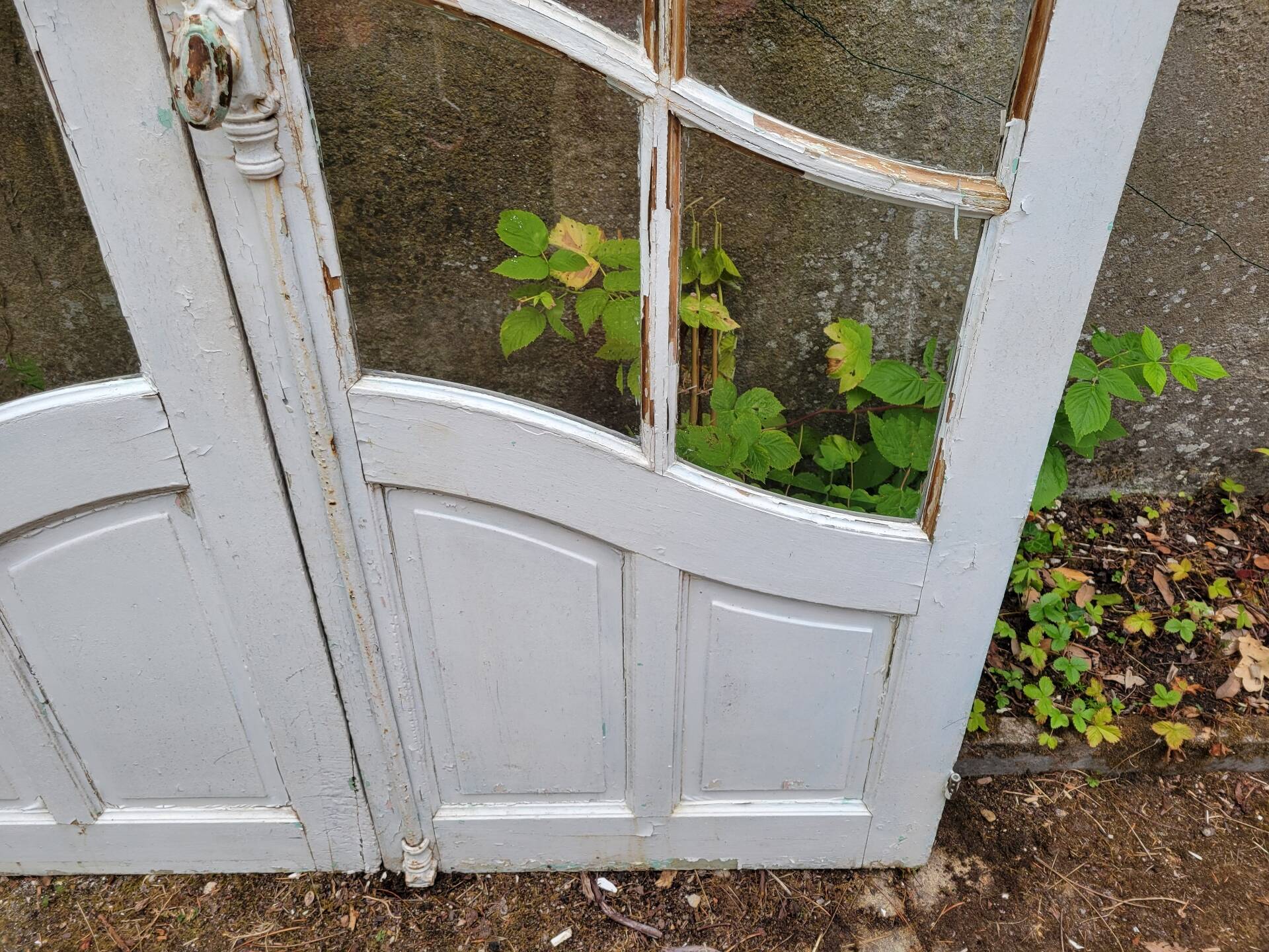 Art Nouveau double doors with small panes.