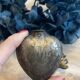 Ex voto heart of Mary