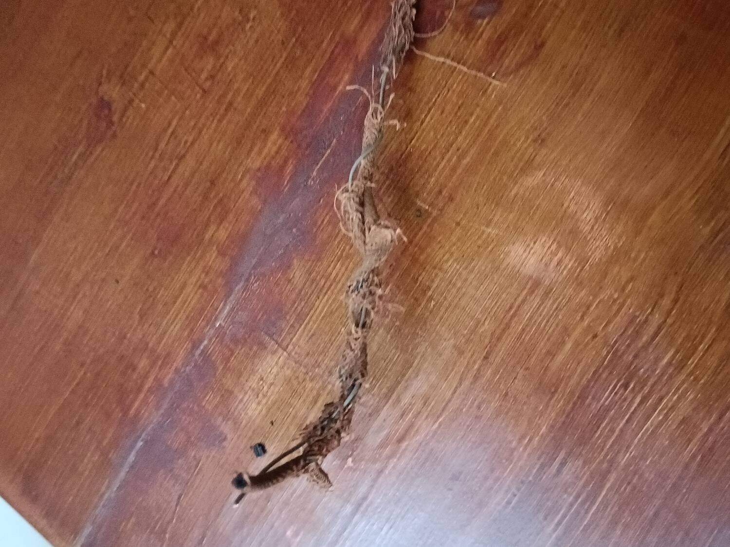 Green saucer pendant light