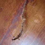 Green saucer pendant light