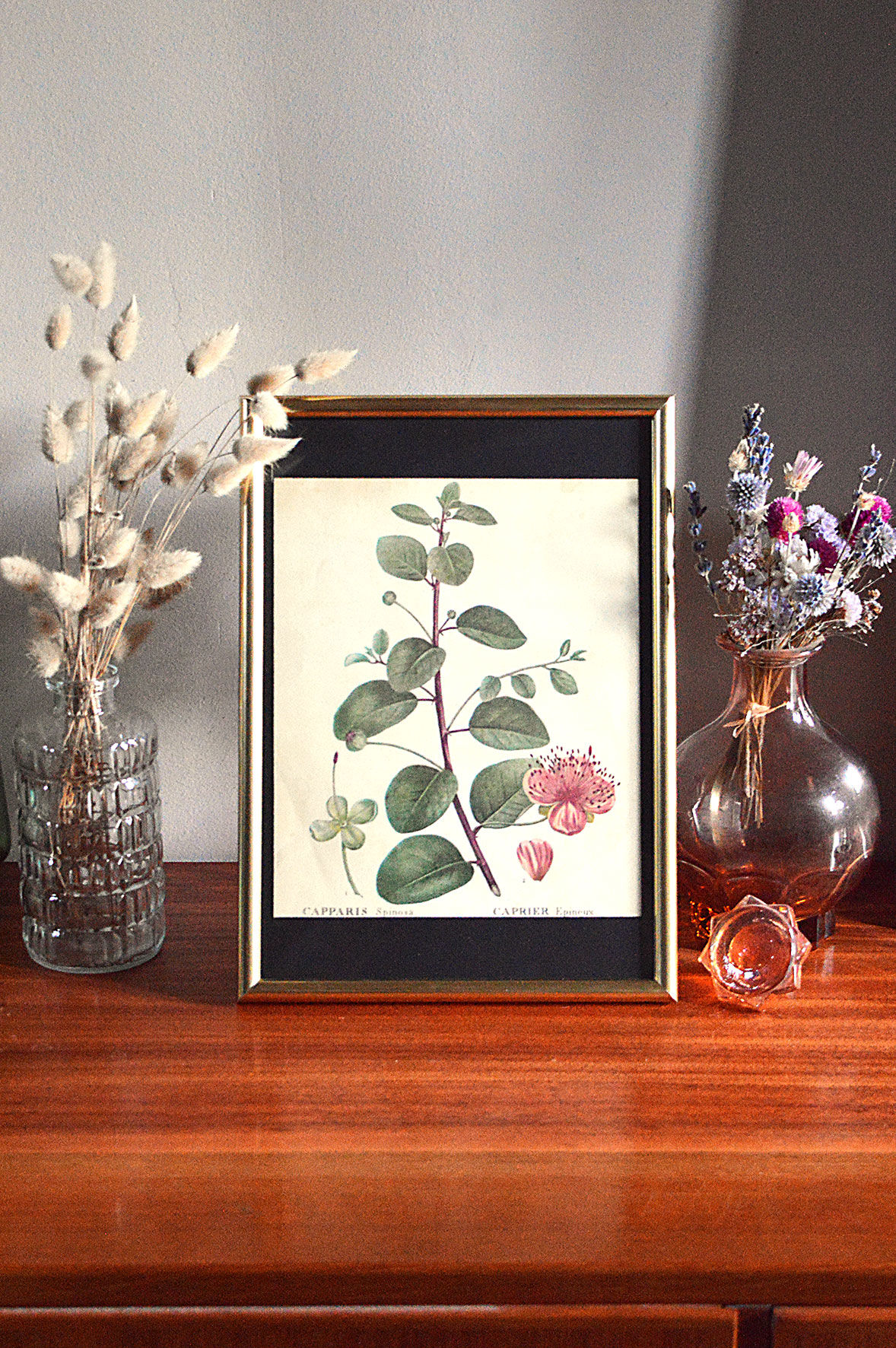 Affiche pharmaceutique encadrée