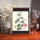 Framed pharmaceutical poster