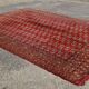 Tapis boukhara  344x246 cm