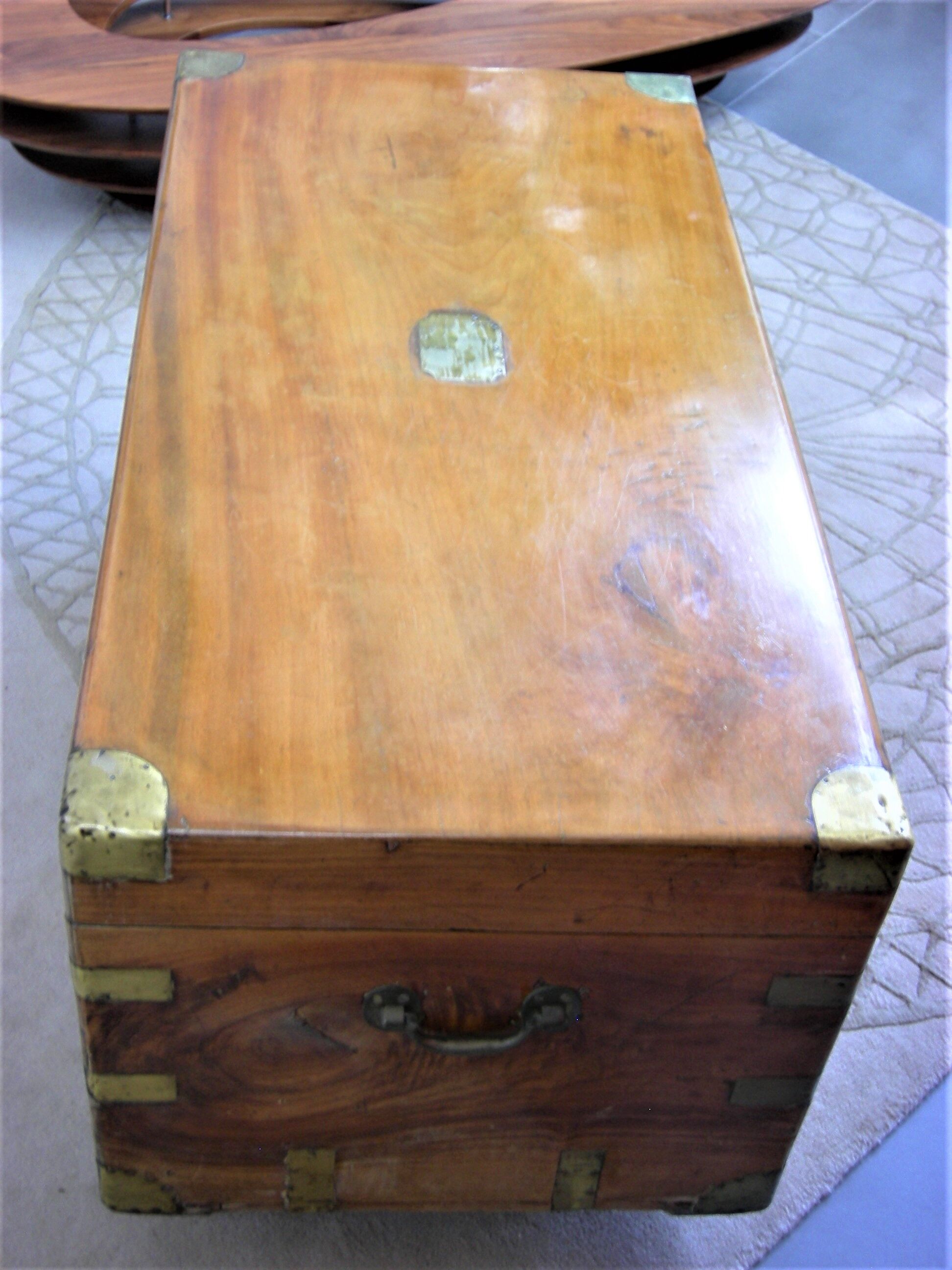 Navy officer's trunk in camphrier