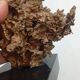 Organic Sculpture Brutalist Modernist Midcentury Gilded Bronze Casting