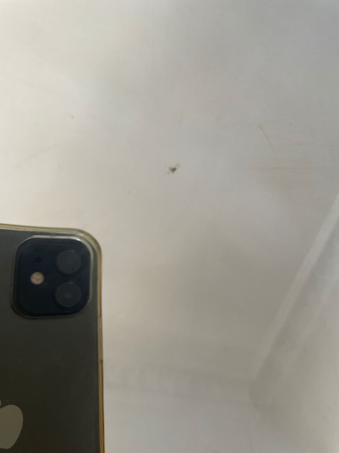 Tray in silver metal the Thistle 1950