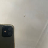 Tray in silver metal the Thistle 1950