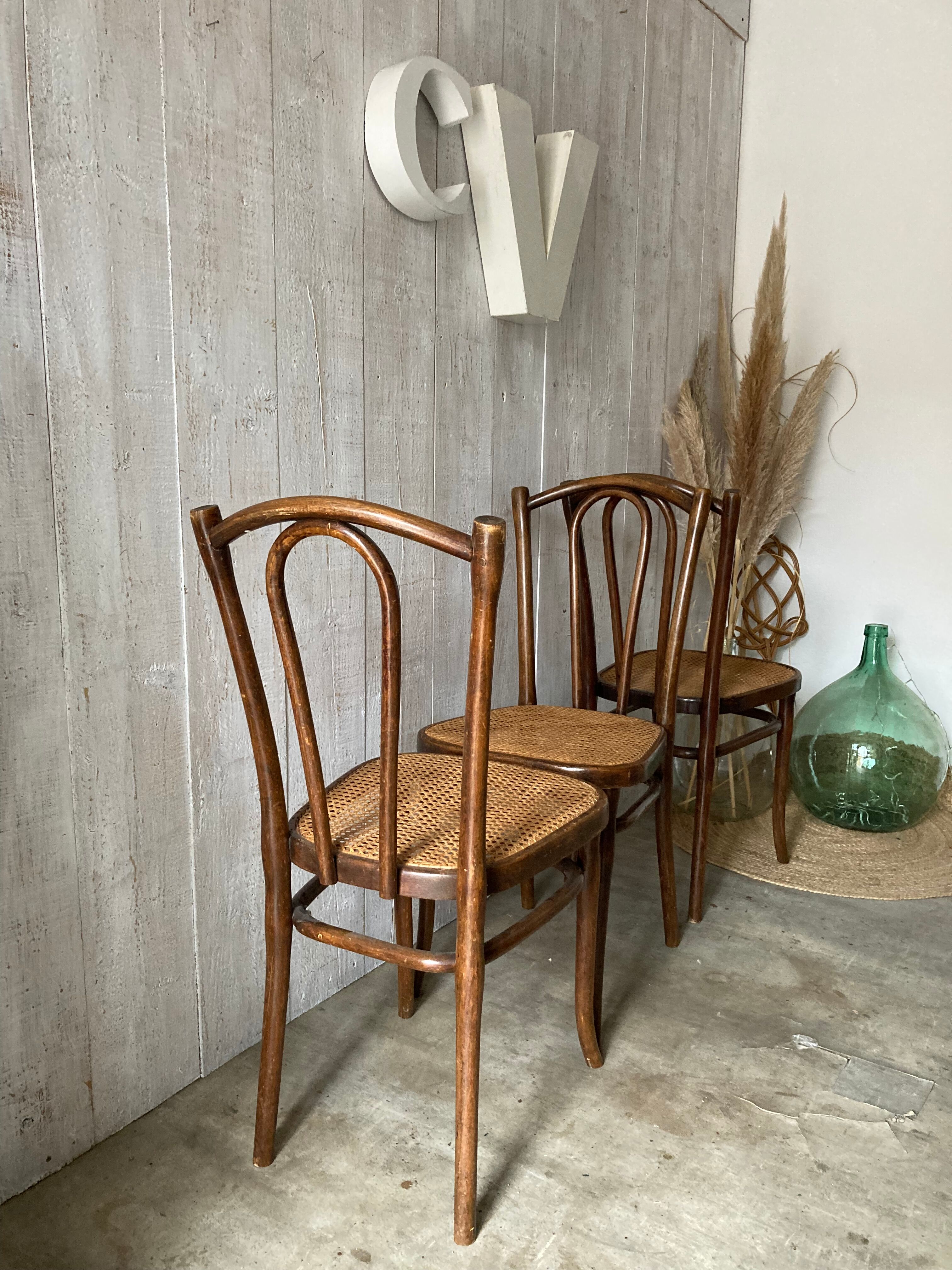 Series of 3 Thonet chairs