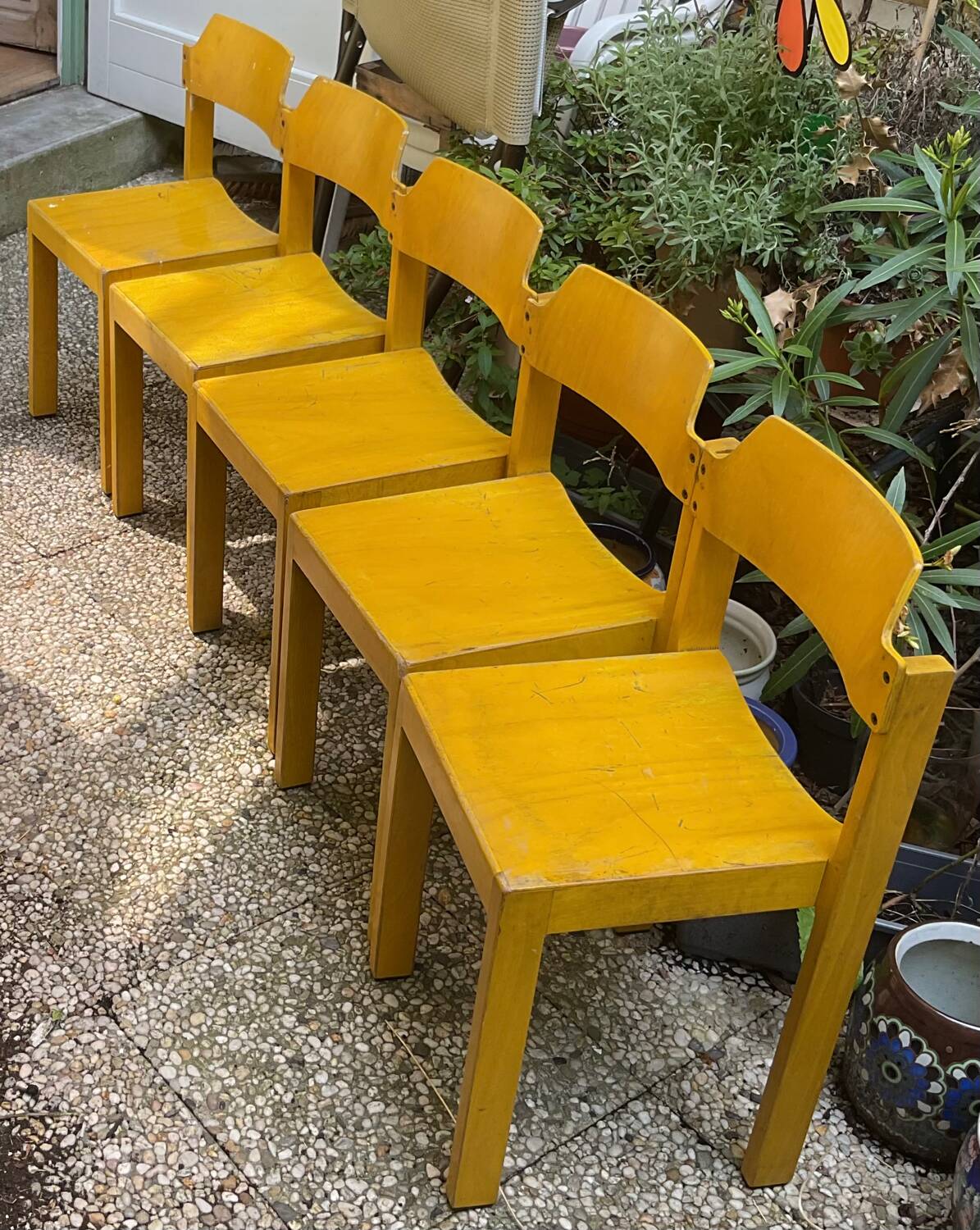Lot de cinq chaises bois années 50
